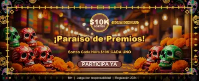 ¡Gana hoy en bet356 casino! banner